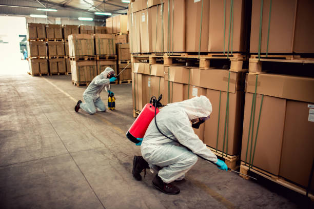 Chattanooga, TN Pest Control Pros