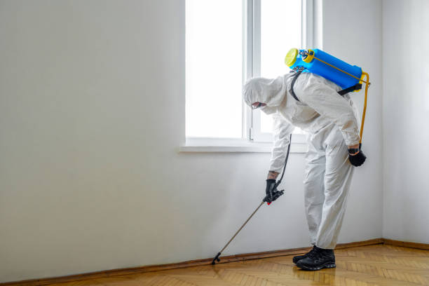 Best Wasp Removal Services  in Chattanooga, TN