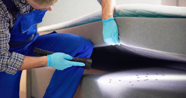 Best Affordable Pest Control Services  in Chattanooga, TN