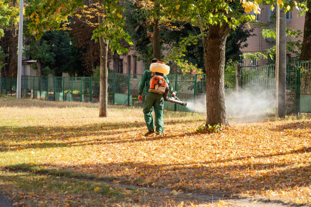 Best Flea Control Services  in Chattanooga, TN