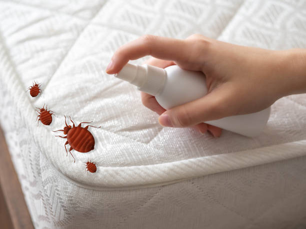 Best Best Pest Control Companies  in Chattanooga, TN