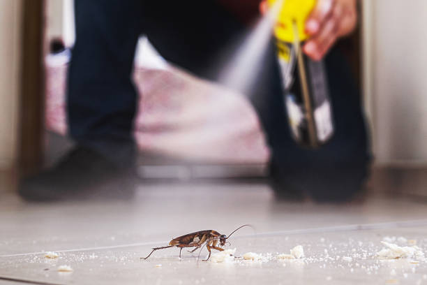 Best Mosquito Control Services  in Chattanooga, TN