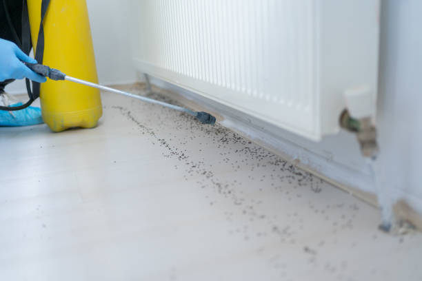 Professional Pest Control in Chattanooga, TN