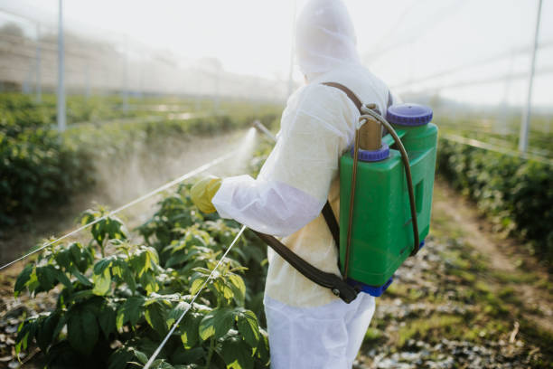 Best Local Pest Control Services  in Chattanooga, TN